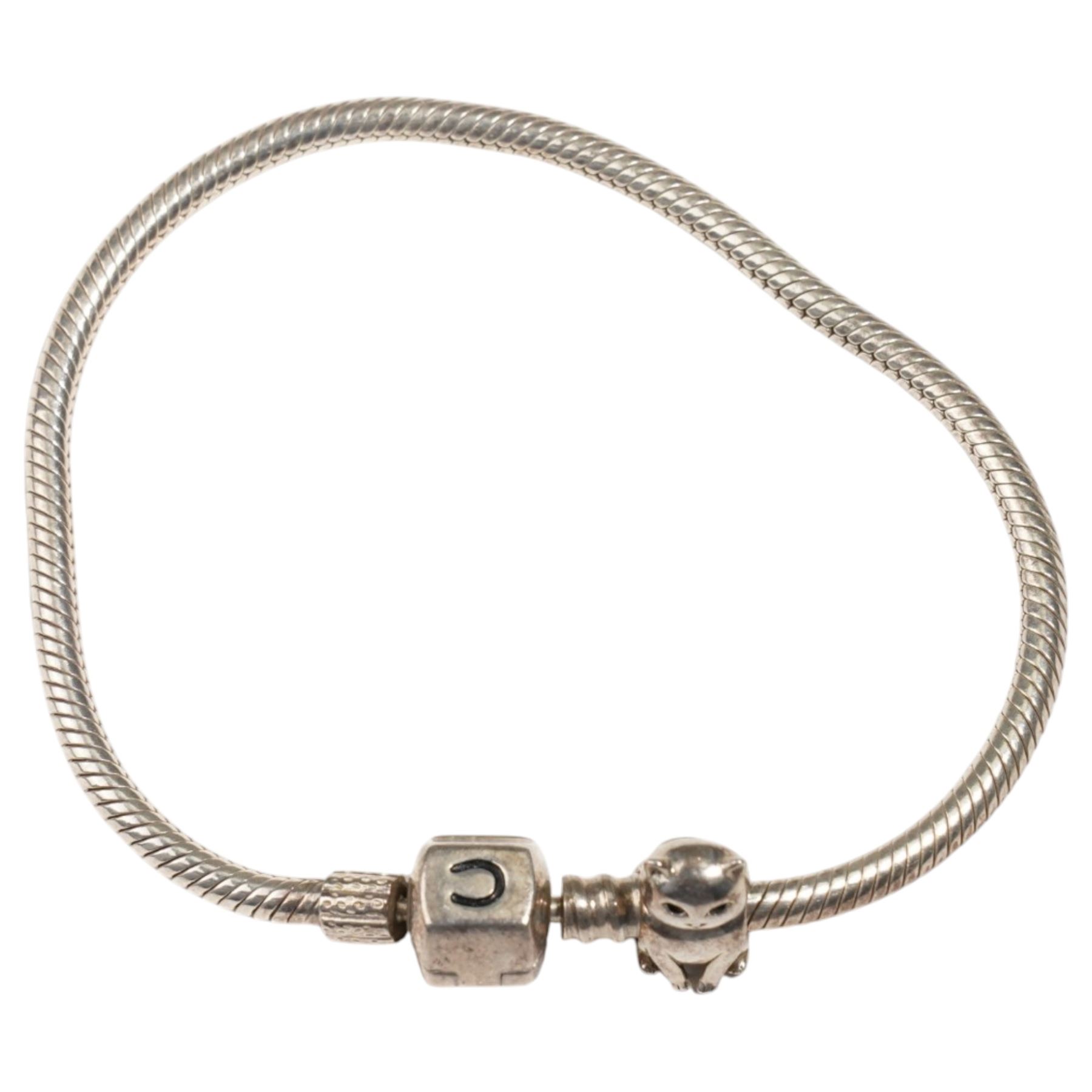 Silver torque bangle and a silver Chamilla charm bracelet 
