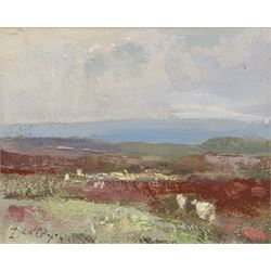 William B Dealtry (British 1915-2007): Sheep on a Heather Moorland, oil on board signed 13cm x 16cm