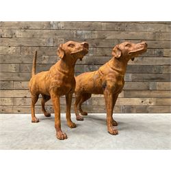 Pair of life-size heavy cast iron garden Hunting dogs