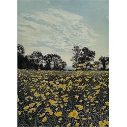 Graham Evernden (British 1947-): 'Marsh Marigolds', limited edition screen print signed titled and numbered 14/250, 39cm x 29cm