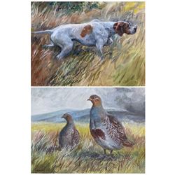 Jane Dunn (British 20th century): Partridges and Setter, pair gouaches signed 25cm x 29cm (2)