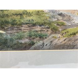 E Brown (British 19th/20th century) after George Fall (British 1848-1925): River Ouse with View of York and Lendal Bridge, late 19th century lithograph signed in the plate 45cm x 74cm