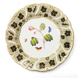 Set of fourteen mid 19th century Derby dessert plates, each painted with a named botanical subject and butterflies within a leaf pattern and gilt border