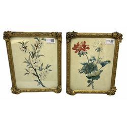 Pair of gilt framed and glazed pencil and watercolour studies of flowers, overall H29cm L24cm