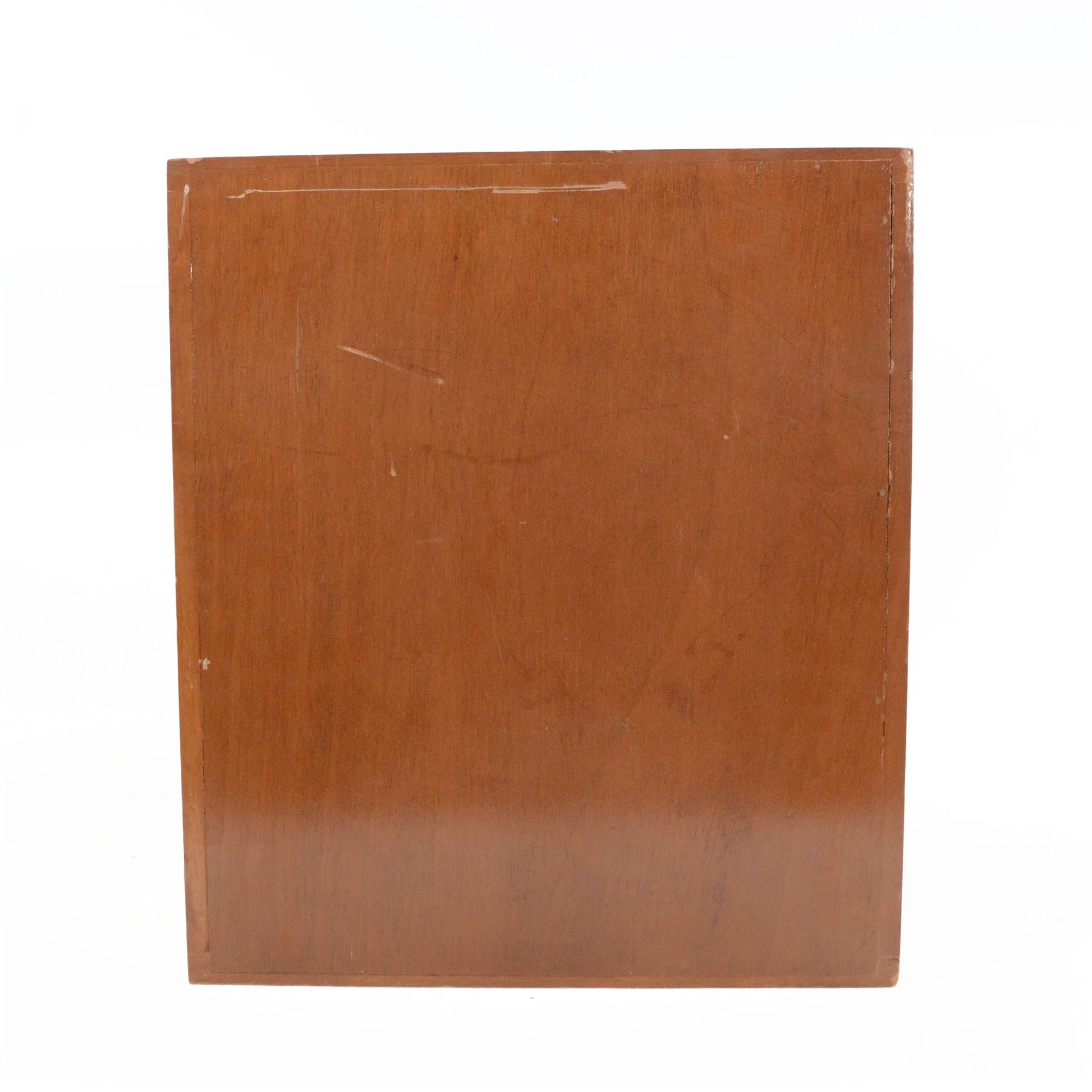 Large collection of prepared microscope slides, including animal and human pathological, physiological and histological specimens and botanical specimens, mostly annotated in ink, with examples including earthworm ovary, pneumonia lung, tip of a human tongue and rabbit cerebellum, contained within two mid 20th century wooden specimen cabinets with glazed doors, each containing twenty-eight plastic slide trays, cabinet H46cm