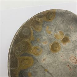 Two graduating fossilised coral dish in the form of hearts, largest D16cm