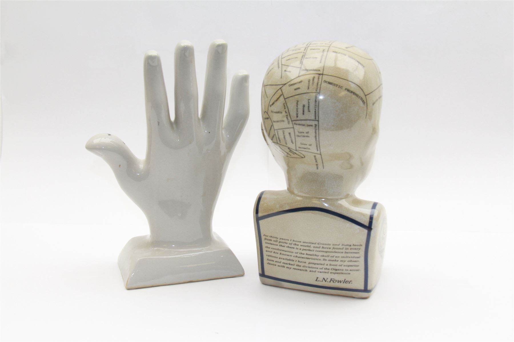 Phrenology head H29cm  and a Palmistry hand H28cm