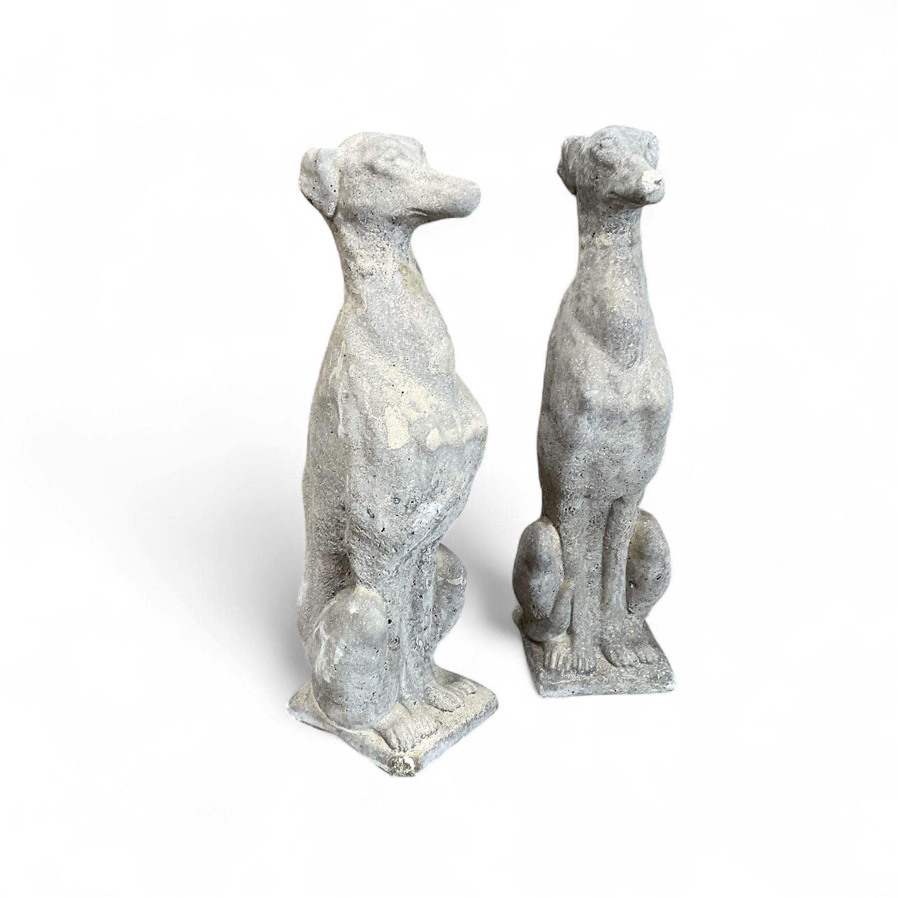 Pair of cast stone sitting greyhounds 