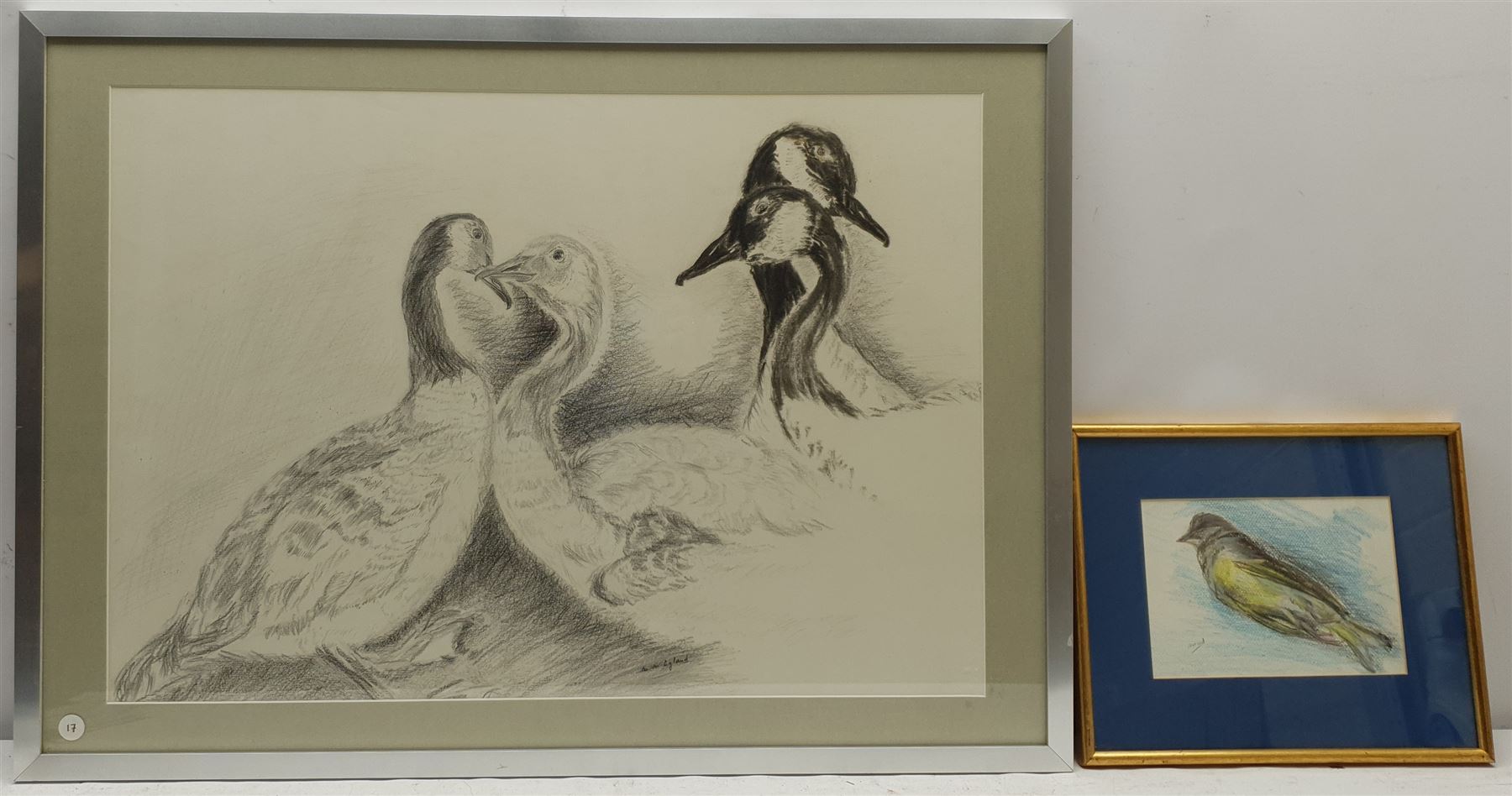 Madeleine Eyland (Belgian/British 1930-2021): 'With You for Life' - Canada Geese, pencil drawing signed, titled verso 46cm x 66cm; Bird Study, pastel signed 14cm x 20cm (2) 
Provenance: artist's studio collection. Marie-Madeleine Eyland (neé Legrain) was born in 1930 at Floriffoux, Belgium; she lived most of her life in Scarborough working as a nurse and an artist.