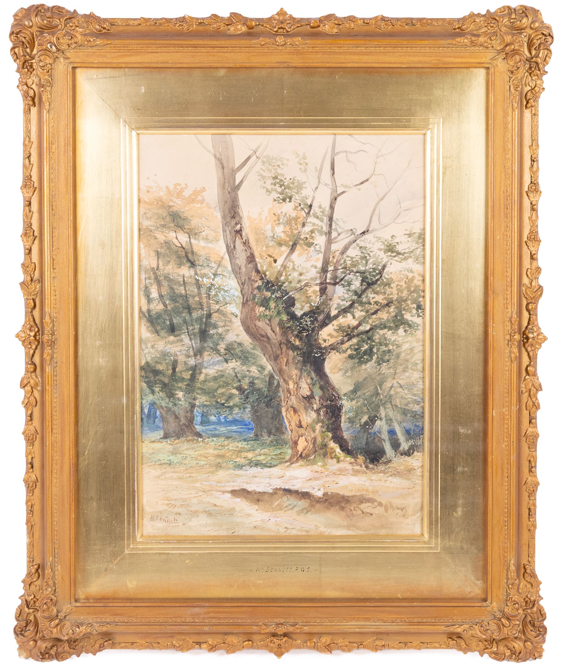 William Bennett (British 1811-1871): The Old Tree, watercolour signed 40cm x 29cm