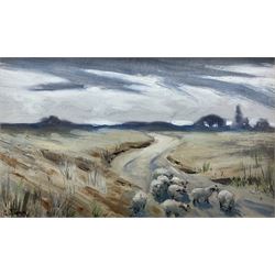 English School (Early 20th century): Sheep in Upland Landscape, oil on board indistinctly signed and dated '19?, 13cm x 23cm