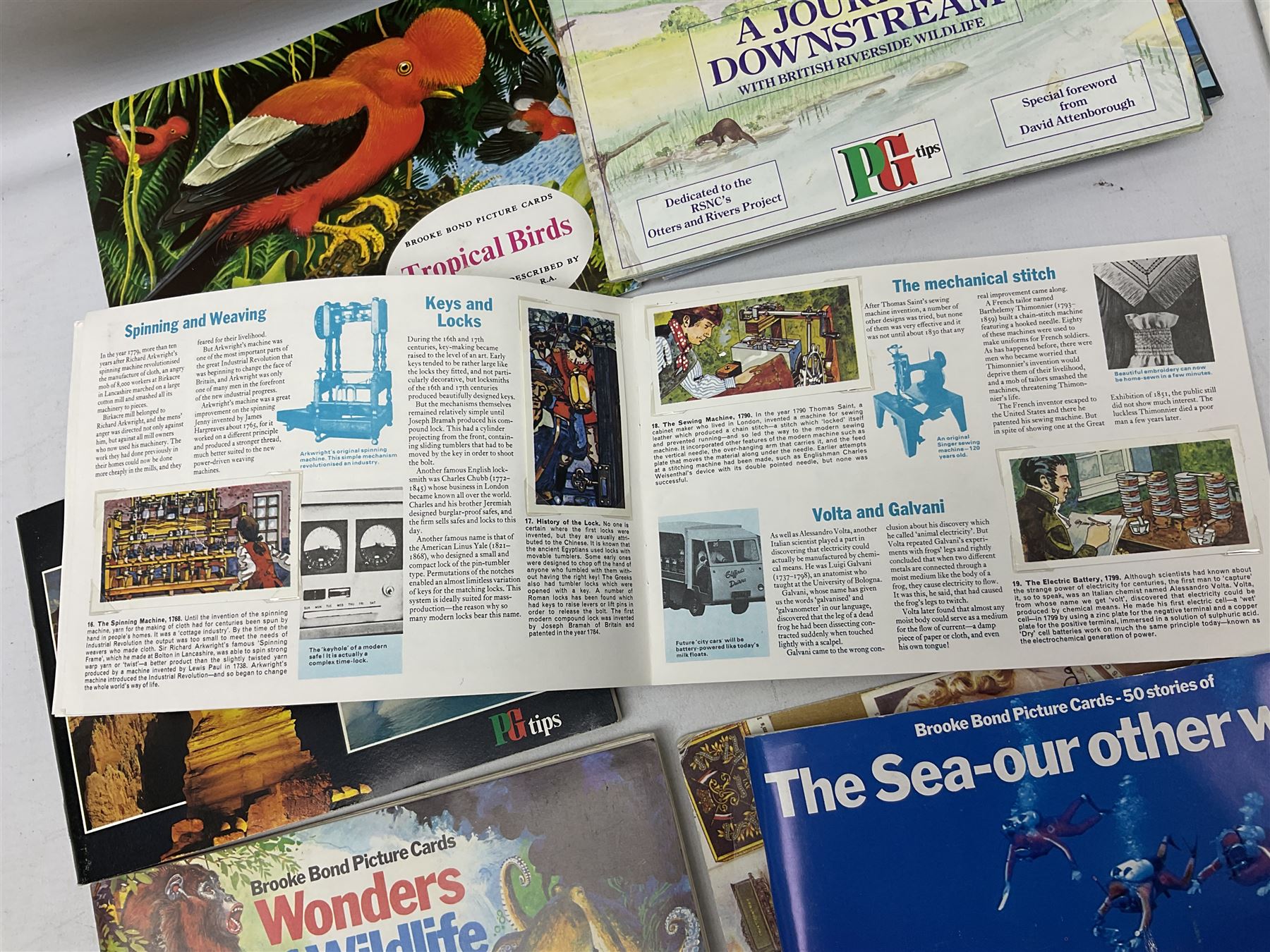 Quantity of Brooke Bond Picture Cards, to include a journey downstream, Olympic greats, History of Aviation, Fresh Water Fish etc  