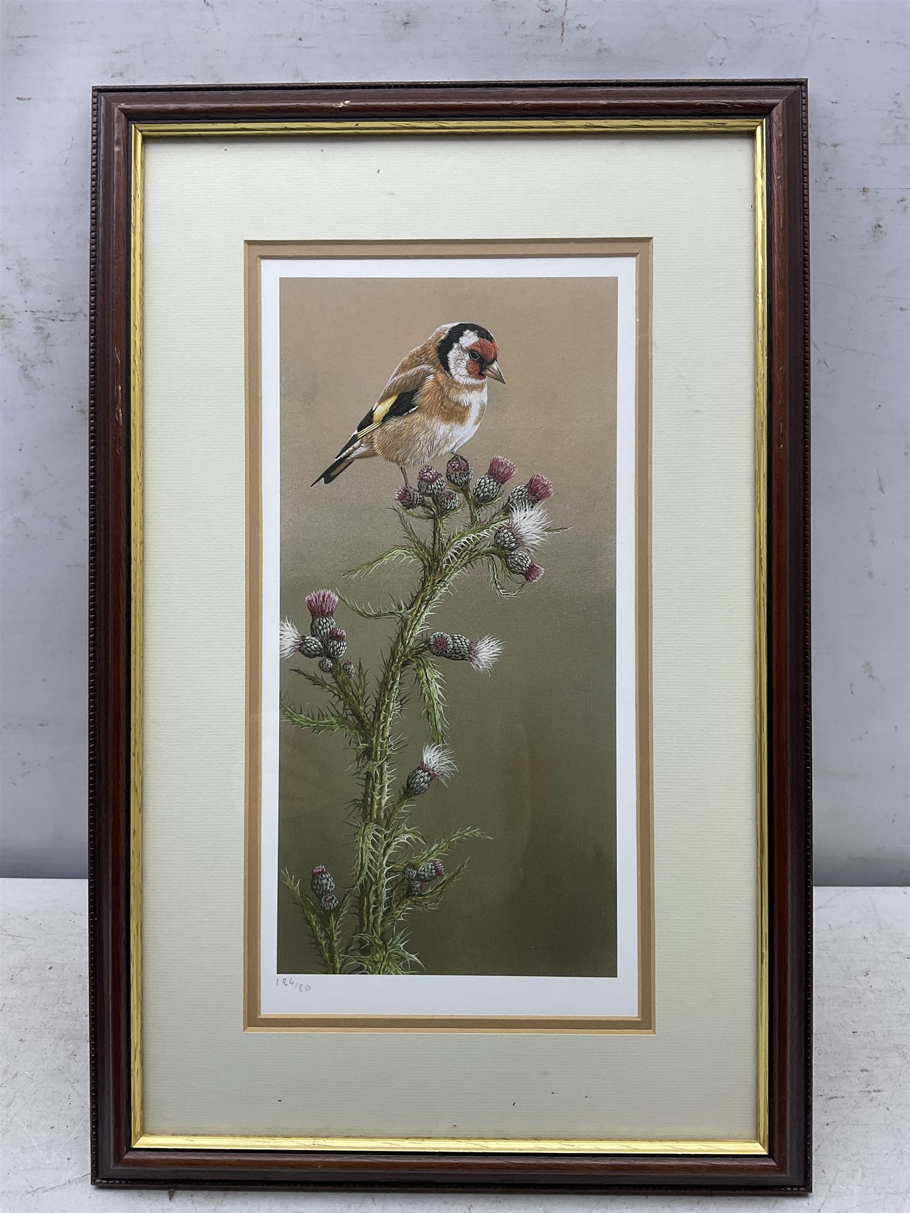 Robert E Fuller (British 1972-): 'Goldfinch on Thistle' and 'Bullfinch On Blossom', pair limited edition colour prints one signed and numbered 184/850 and 51/850, 33cm x 17cm (2)