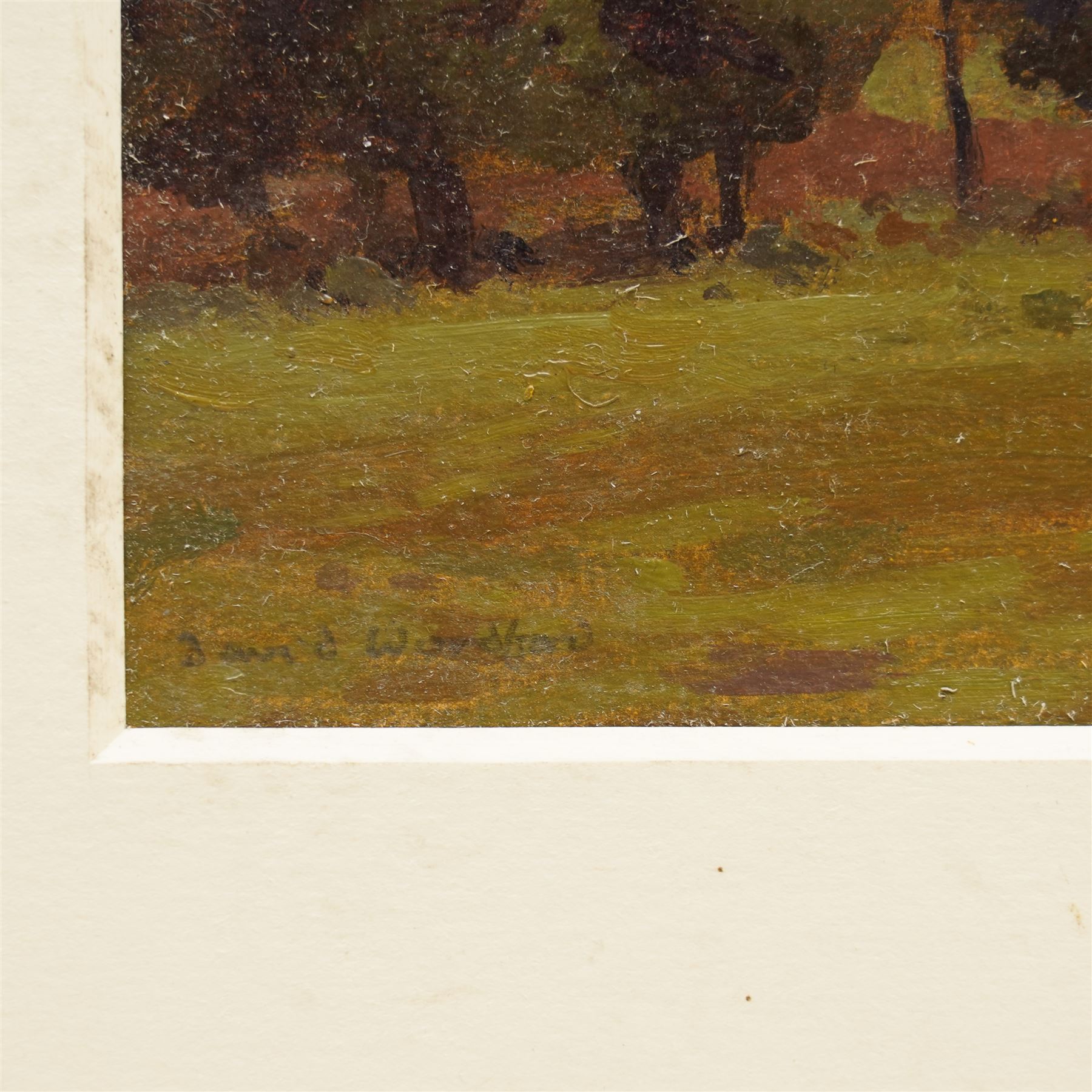 David Woodford (British 1938-): 'Tree Study 2', oil on board signed, inscribed and dated 1996 verso 12cm x 26cm (unframed)