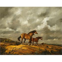 Barbara Gudrun Sibbons (German 1925-): Horses on a Windswept Moor, oil on board signed 39cm x 49cm