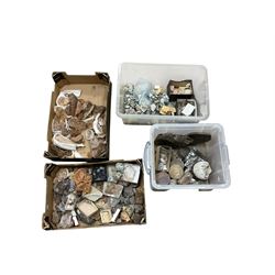 Large private collection of mineral specimens and fossils, including fluorites, quartz geo...