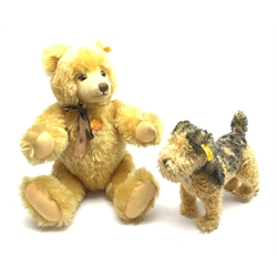 Steiff 1935 Classic Fellow, terrier dog, with yellow tag and button to ear, together with a Steiff teddy bear with growler, with jointed limbs, glass eyes, and yellow tag and button to ear. 