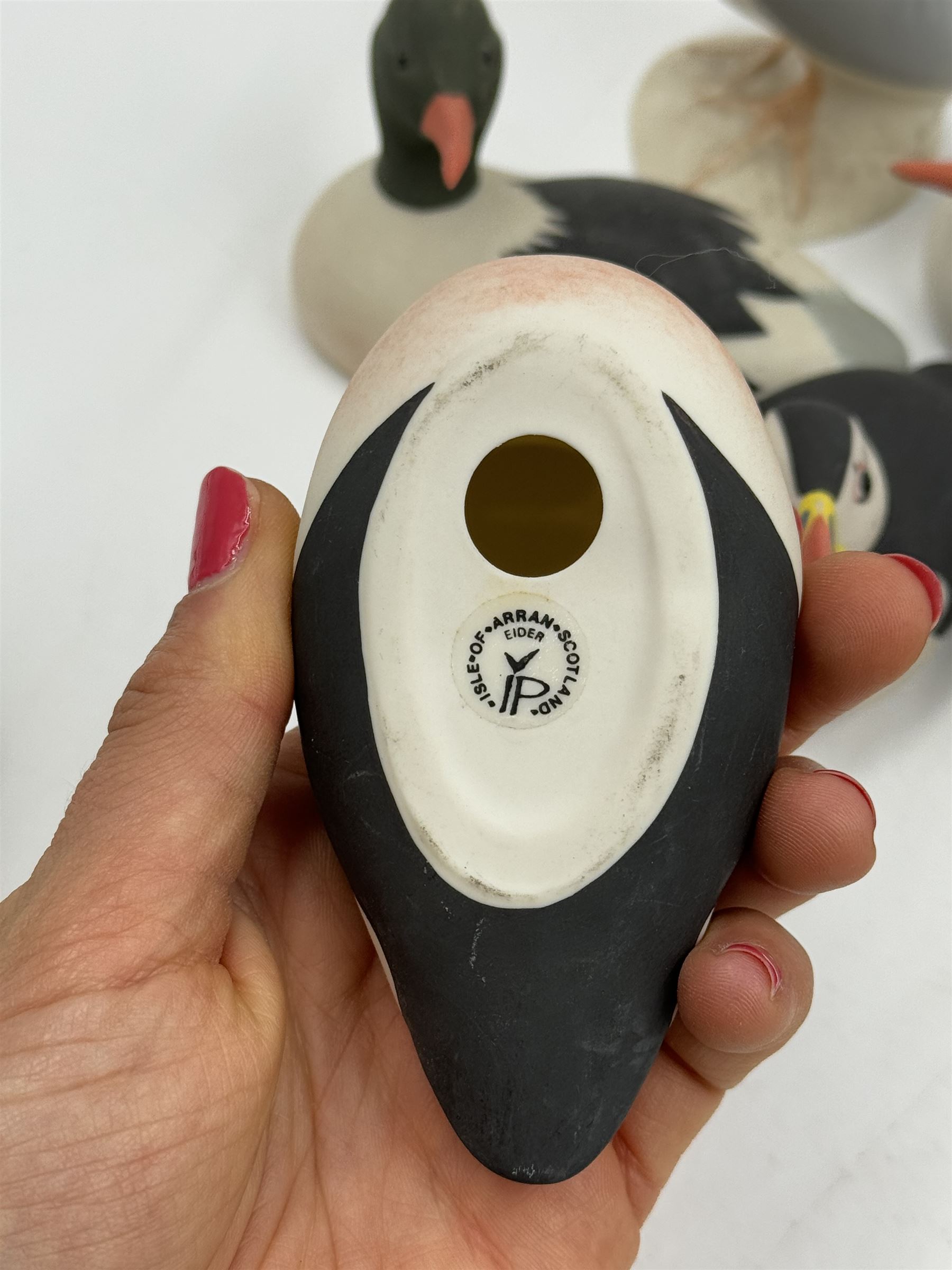 Group of eleven Scottish 'Isle of Arran' bisque porcelain birds, to include Great Northern Diver, Eider, great Crested Greebe, Artic Tern, King Penguin, etc.
