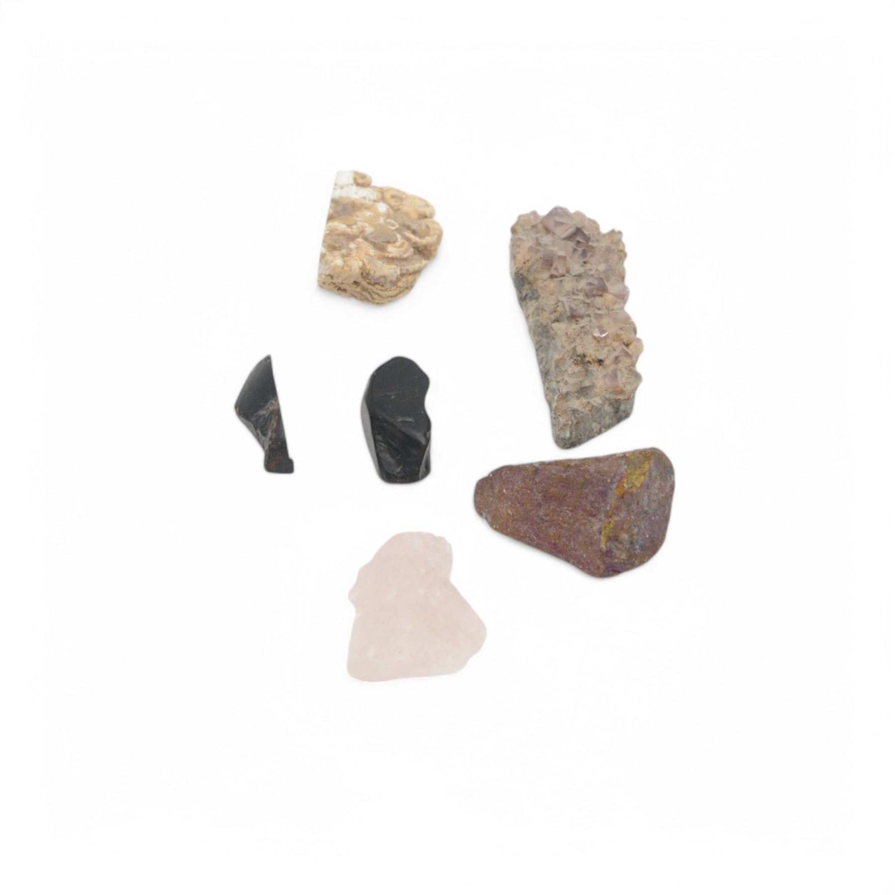 Collection of mineral and fossil specimens, including Trilobite in a matrix, shark tooth, ruby schist etc 