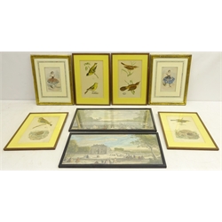  Bird Studies, four 19th/20th century engravings, Portraits of Ladies, two George Baxter prints and two 19th century engravings hand coloured max 20cm x 44cm (8)  