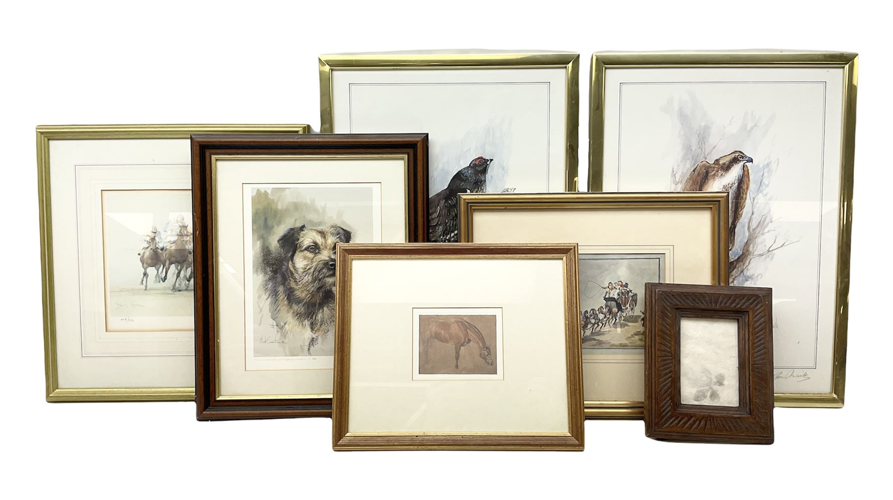 After Ben Maile (British 1922-2017): 'Blackcock' and 'Osprey', pair colour prints signed in pencil together with a print of a Terrier after Mick Causton and three horse related prints max 40cm x 28cm (6)