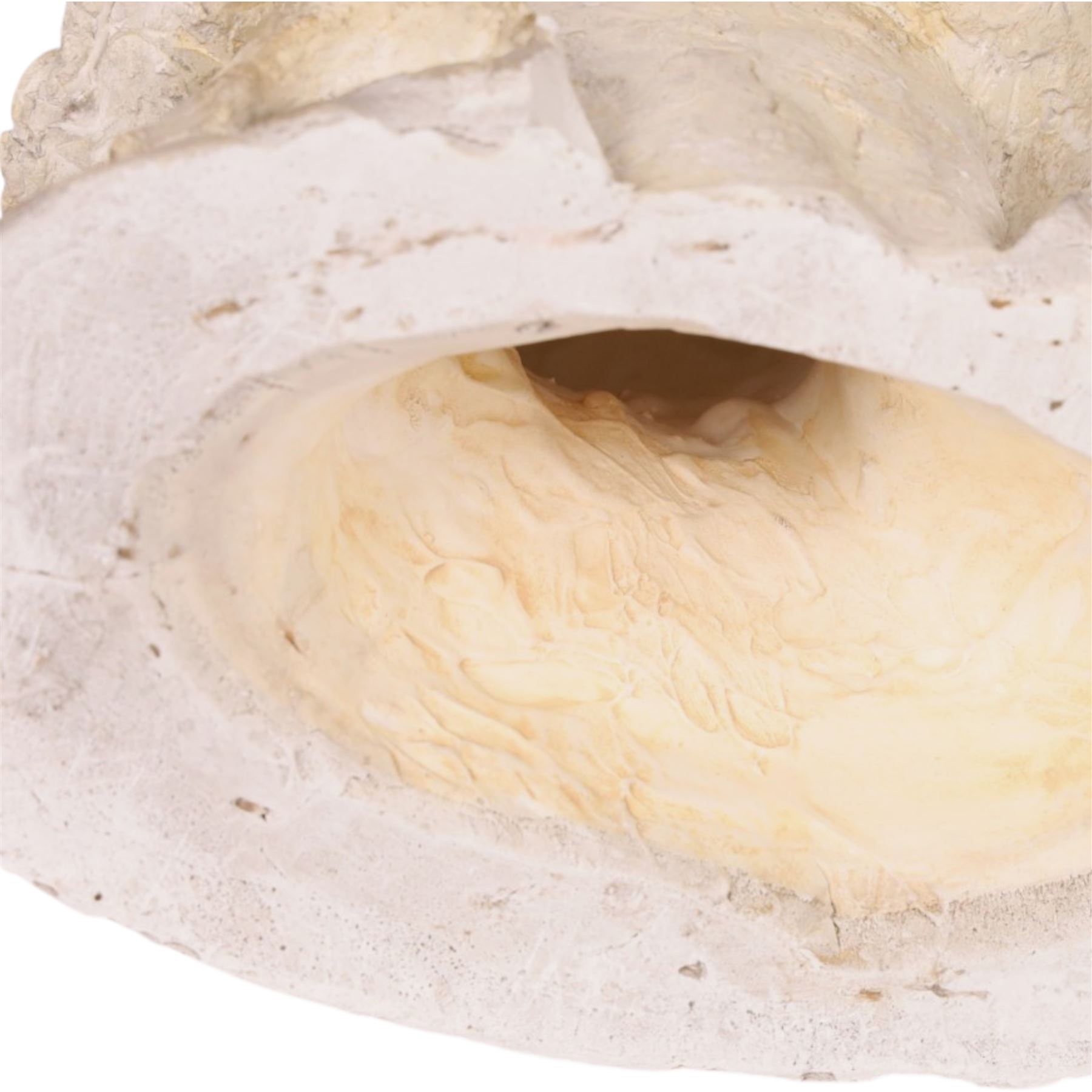 Modern plaster bust, modelled as a woman, H32cm 