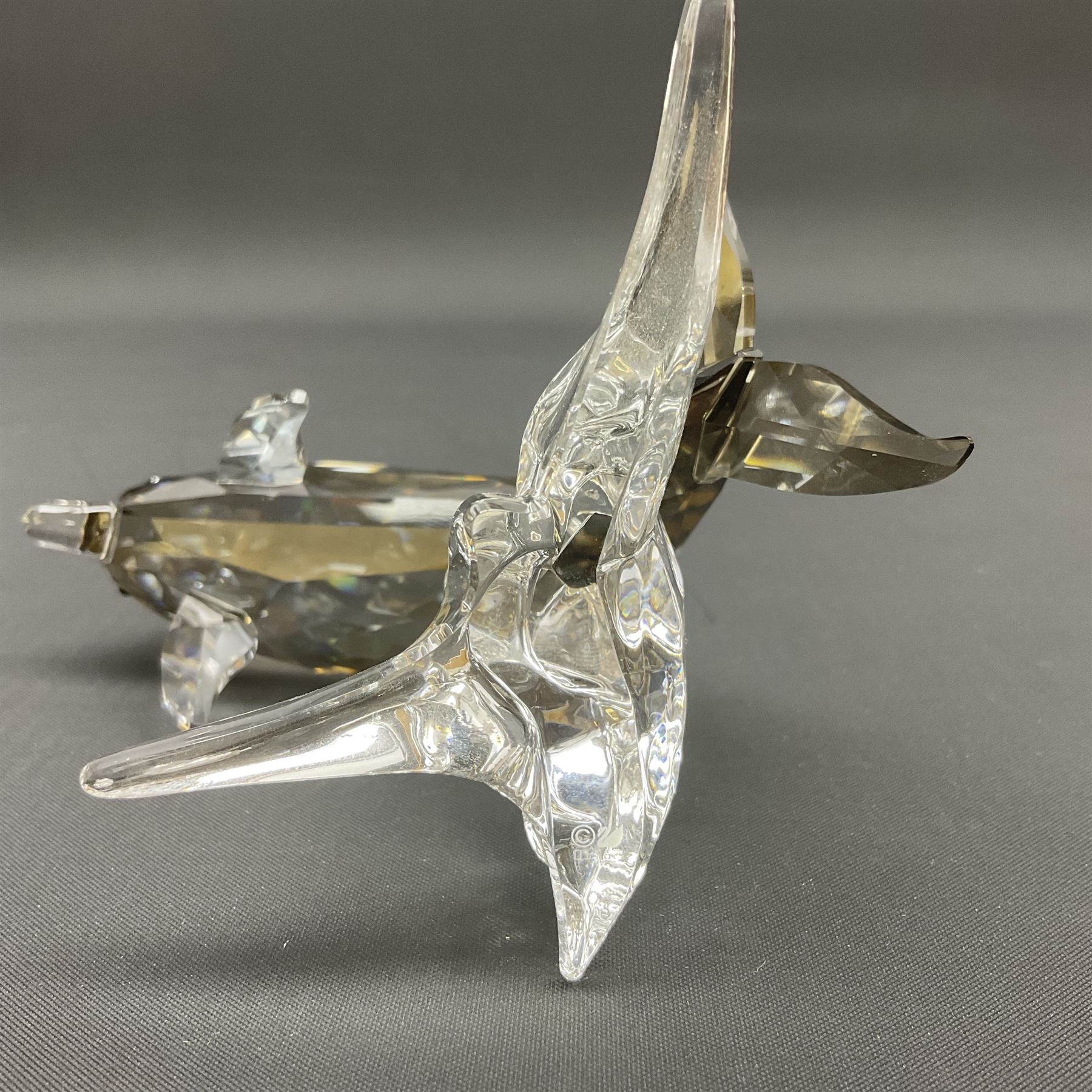 Swarovski Crystal sea creatures, comprising lion fish and dolphin, both with coloured elements, together with two seahorses, two small fish groups, butterfly fish, longnose butterfly fish and six coloured shells, tallest H8.5cm