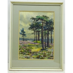  Heathland Landscape, 20th century watercolour signed and dated 1917 by Edith Fisher 42cm x 30cm  