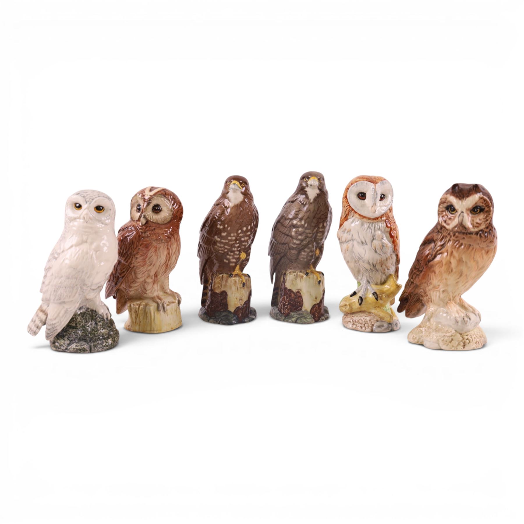 Six Beswick whisky decanters, including snowy owl, Tawney owl, Buzzard etc  