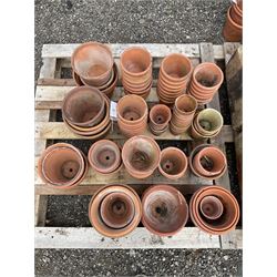 Selection of different size terracotta garden pots