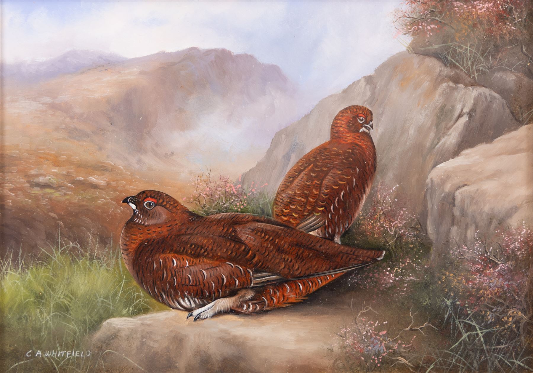 Carl Whitfield (British 1958-): Pair of Grouse in a Rocky Valley, oil on board signed 11cm x 16cm