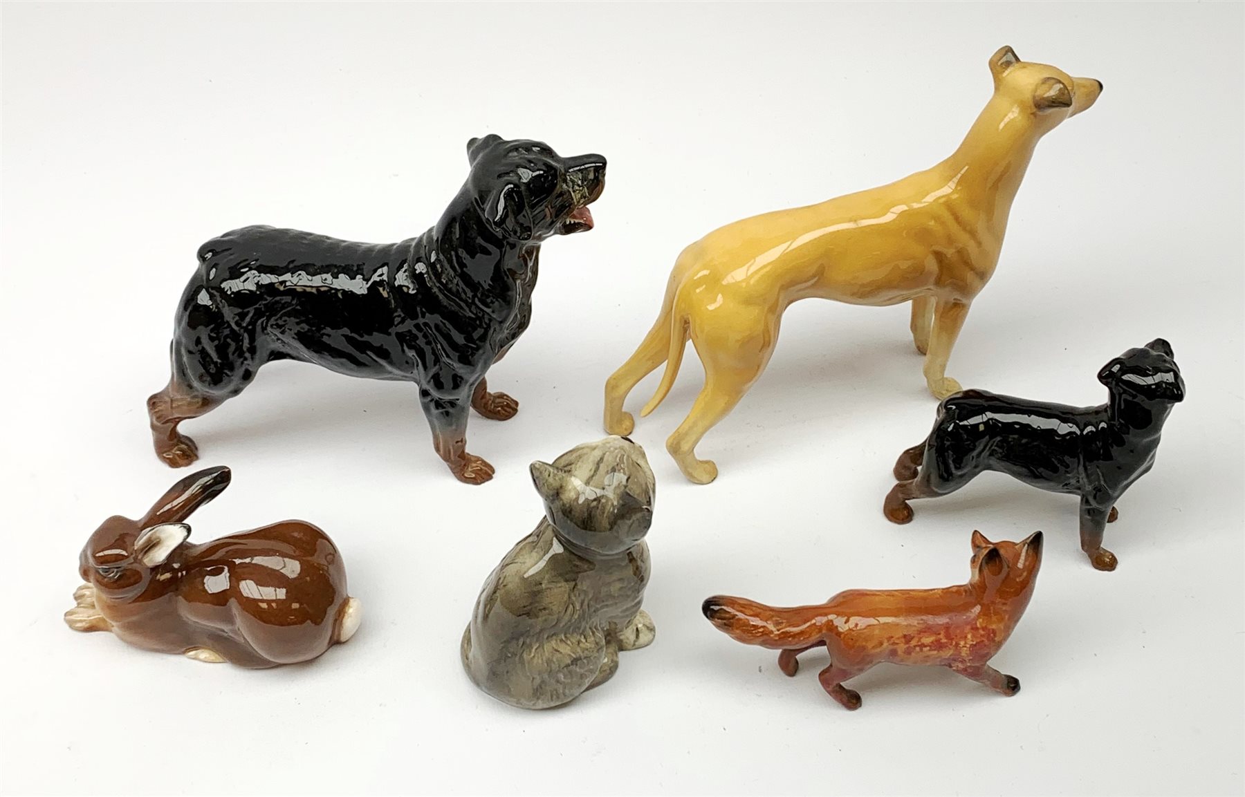A group of Beswick figures, comprising a Rottweiler, and Rottweiler puppy, Grey Hound marked CH Jovial Roger, grey kitten marked 1886, fox, and a Royal Doulton figure of a Rabbit, HN2592. 