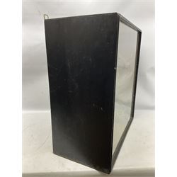 Taxidermy: 19th century cased display Red Fox (Vulpes vulpes), full adult mount in seated position with tail curled in front, in a naturalistic setting, encased within a ebonised single pane display case, H64cm, L58cm