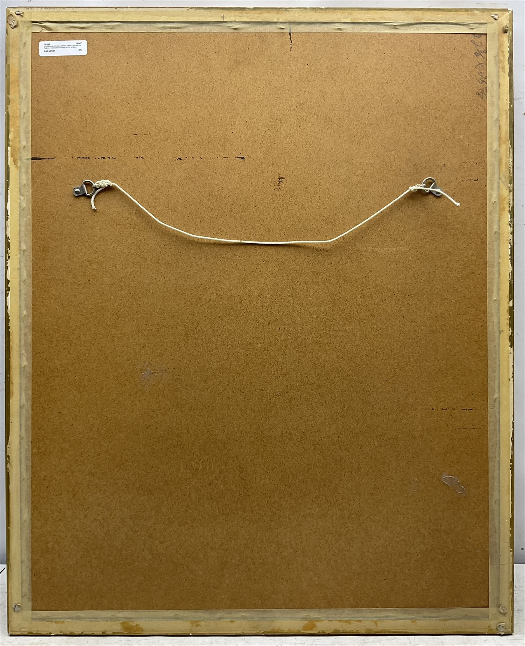 Cyril David Johnston (British 1946-): Peregrine Falcon, watercolour signed 53cm x 39cm