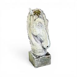 Large weathered cast stone horse head figure, raised on square plinth