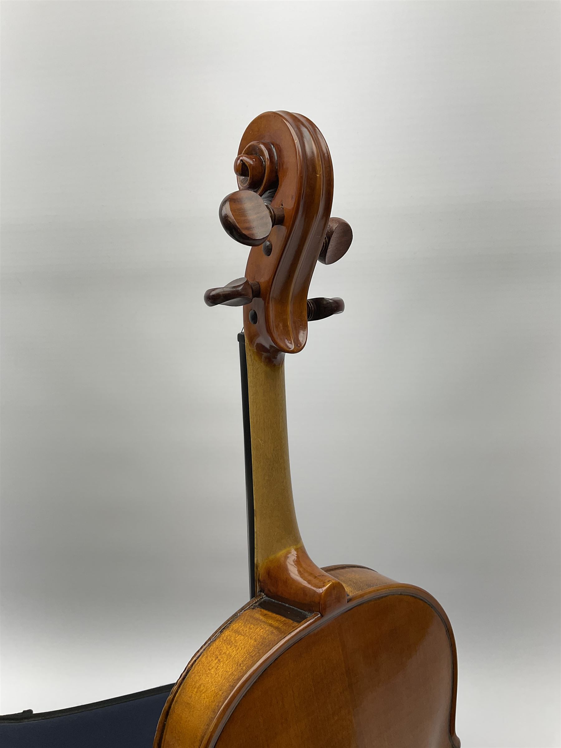 1920s continental large viola with 42cm two-piece maple back and ribs and wide grain sprucewood top with guarnerie sound holes, bears label 'Werner Alajos Budapest', overall length 69cm; in modern carrying case