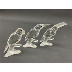 Fourteen Swarovski Crystal bird figures, to include toucan, mandarin duck, swans, parrot, cranes etc 