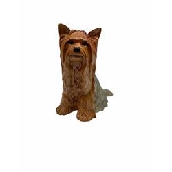 Beswick fireside Yorkshire terrier dog model no 2377 H25.5cm, together with a pair of staffordshire style white spaniels H30cm, two Mella ware terriers etc.  