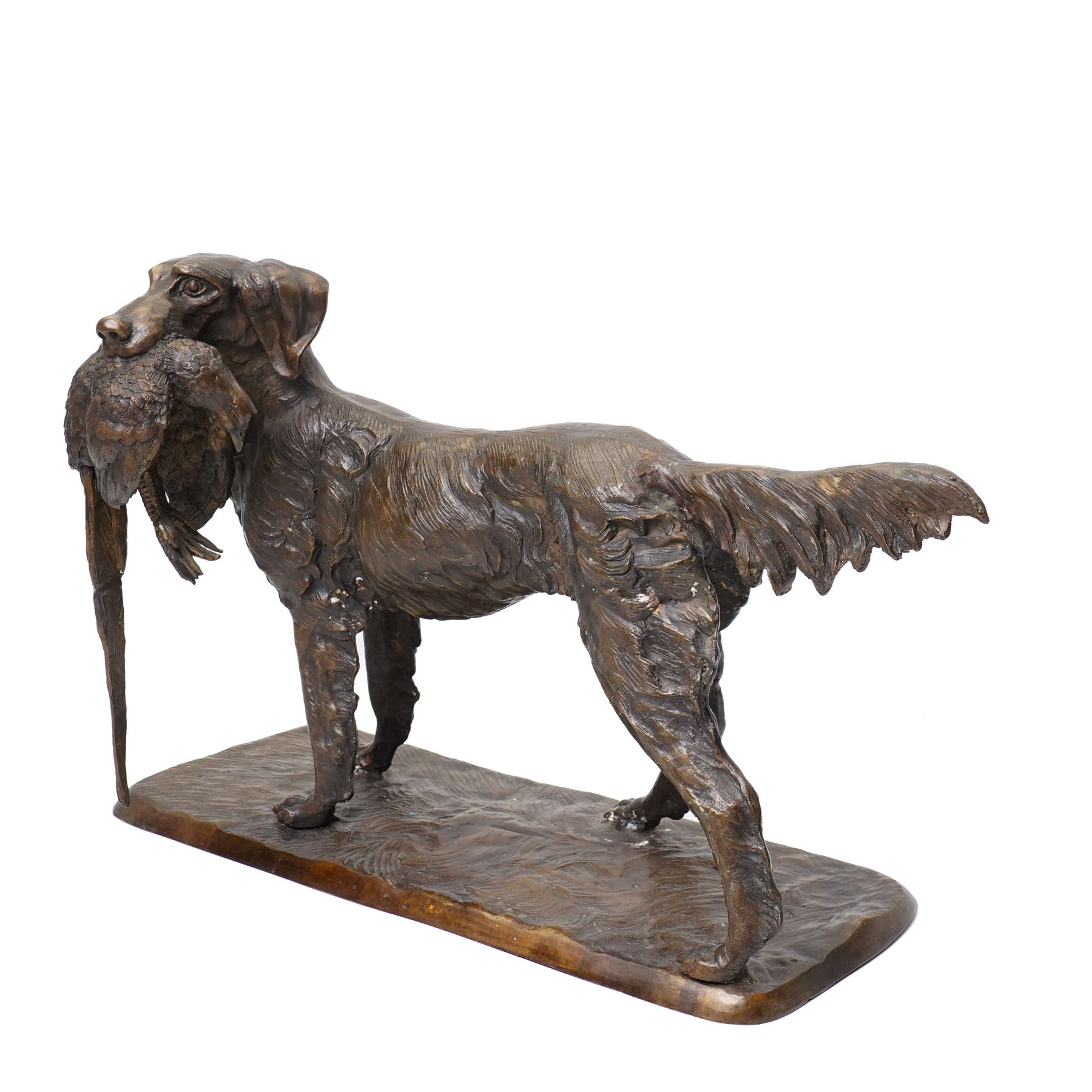 Bronze model of a setter with a pheasant in its mouth on naturalistic base H40cm x W62cm