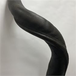 Antlers/Horns: Greater Kudu (Tragelaphus Strepsiceros), Pair of Kudu curved horns on partial skull, mounted on an oak shield, H120cm