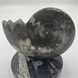 Goninite sculpture, poslised goninite, mounted upon a circular marble base with with orthoceras and goniatite inclusions, age: Devonian period, location: Morocco, H13cm