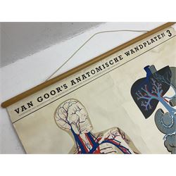 Four Dutch educational wall hangings, the posters to include Van Goor's Anatomische Wandplaten and two Uitgave N.V. W.J Thieme & Cie examples depicting various mushrooms and fungi, largest approx 103cm