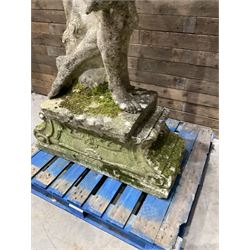 Life-size weathered cast stone Greek Discus Athlete, seated on rectangular slab raised on associated architectural plinth