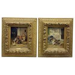 R Clauser (British early 20th century): Poultry in the Farmyard, pair oils on canvas signed, housed in ornate gilt frames 25cm x 20cm (2)