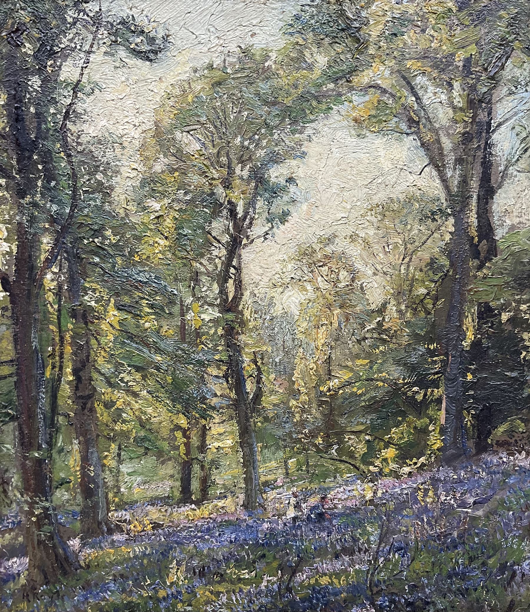 Herbert F Royle (British 1870-1958): The Bluebell Wood, oil on board signed 28cm x 33cm