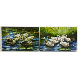  H Richter (20th Century): Ducks Swimming Amongst Lilies, pair oils on board signed 40cm x 60cm unframed (2)  