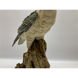 Country Artists figure of a peregrine falcon ' Lord of the Skies ' by David Ivey, limited edition, H44cm, together with two Sherratt and Simpson figures, both of peregrine falcons perched on branches. 