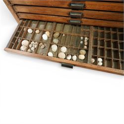 20th century oak printers cabinet, the rectangular top over a bank of twelve shallow drawers each fitted with a metal label handle, the drawers internally compartmentalised and containing an assortment of shells, raised on a shaped plinth base