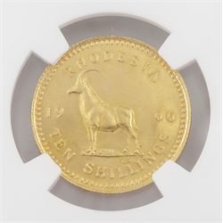 Queen Elizabeth II Rhodesia 1966 gold ten shillings coin, encapsulated and graded PF64 by NGC