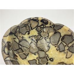 Polished septarian bowl, with a calcite and siderite within limestone rock, D16cm H8cm